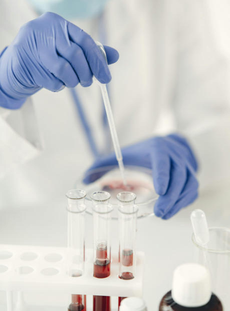 生物试剂研发