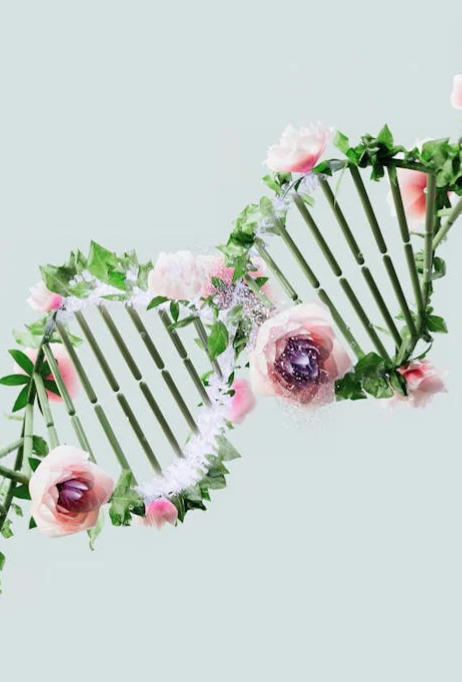 生物实验室